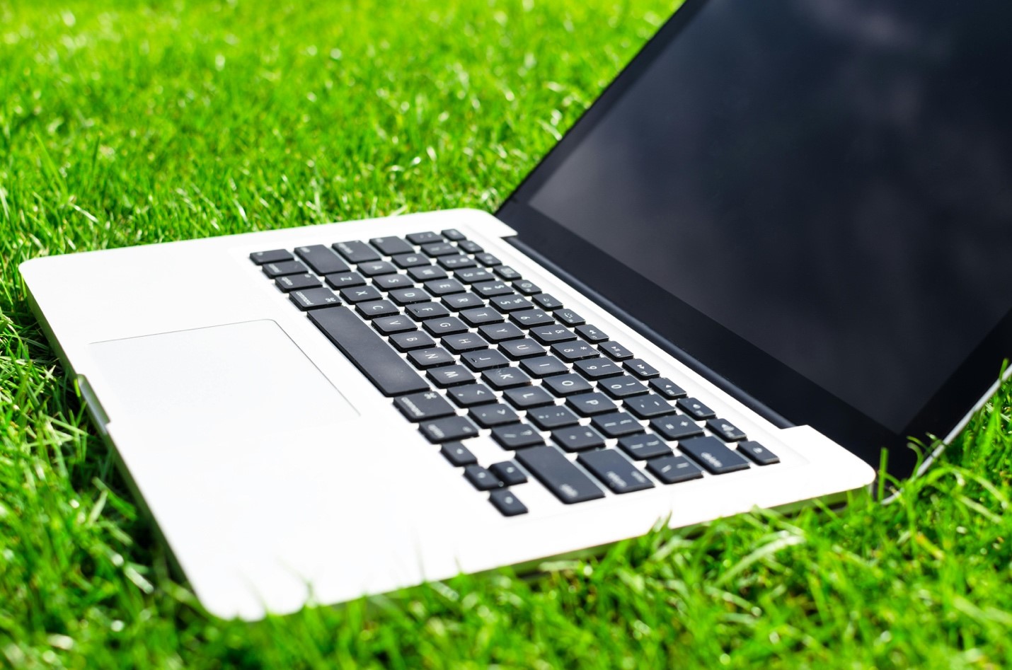 Laptop sitting outside on the grass